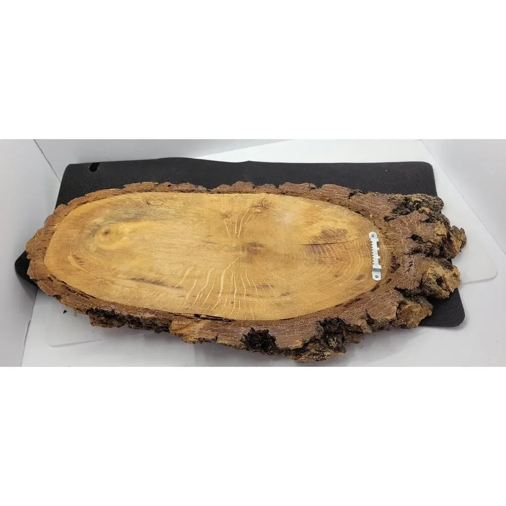 Rustic Wood Slab Wall Clock Thermometer Natural Log Cabin Decor AS IS Untested